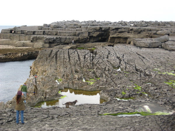Where the Burren Meets the Sea