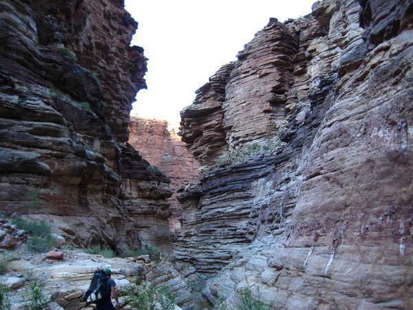 Ravine in the Canyon