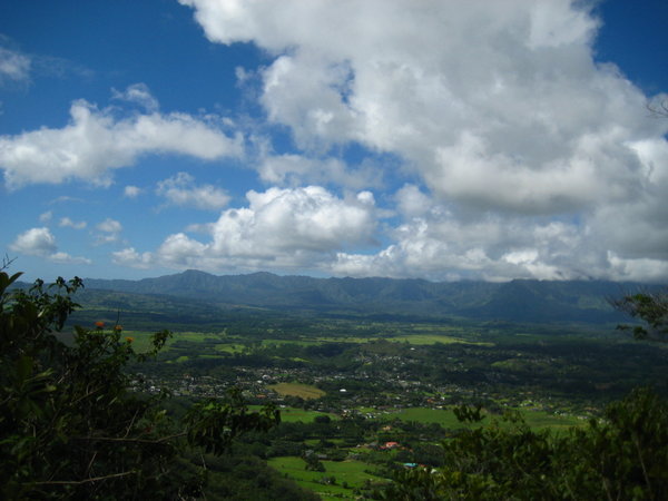 Wailua View