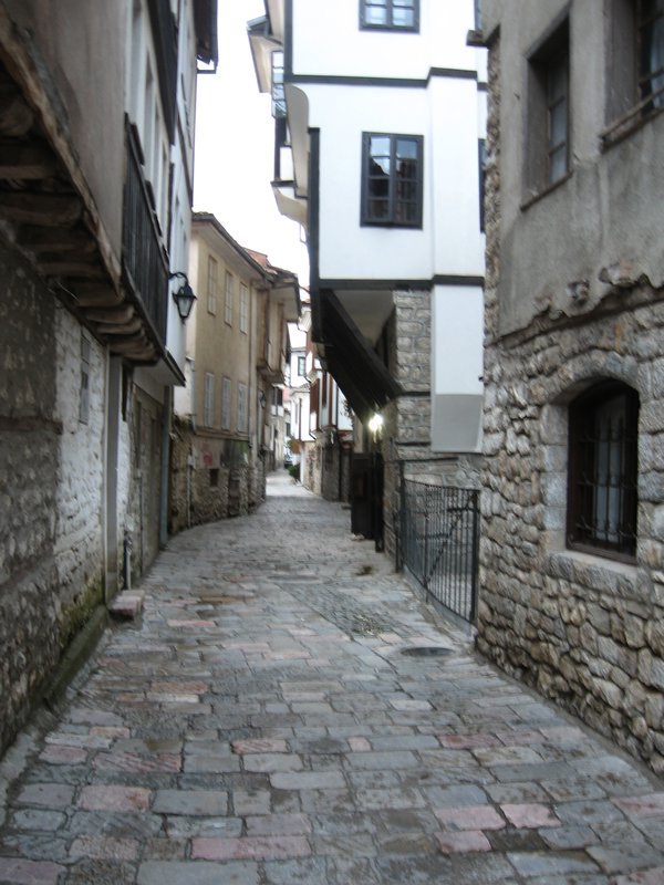 An Orhid street