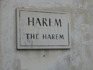 Entering the Harem