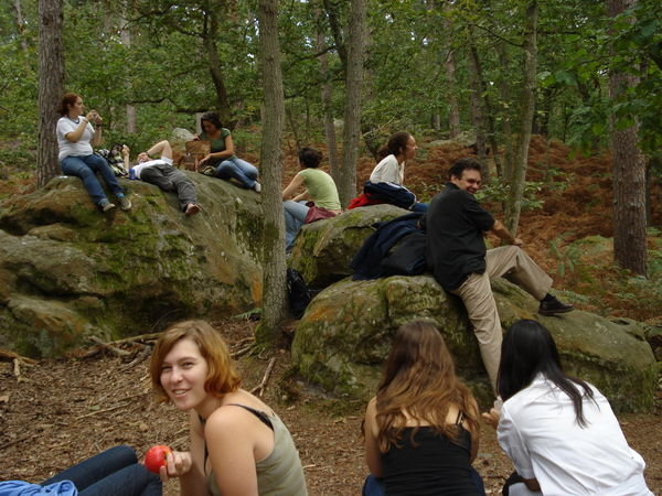 The group, in the Fountainebleau Forest, complete with conetmplative French professor in black