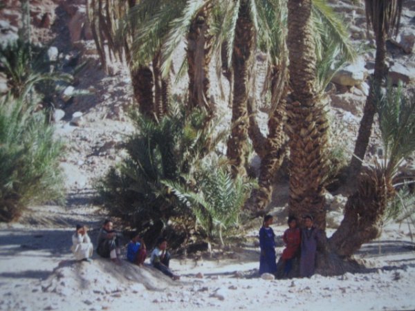 Children in the Sinai