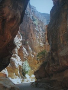 The Siq At Petra