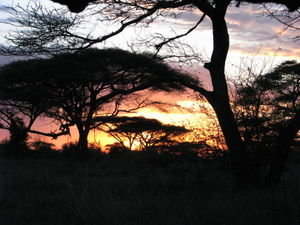 Sunset at the tented camp