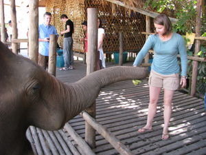Sarah and her elephant