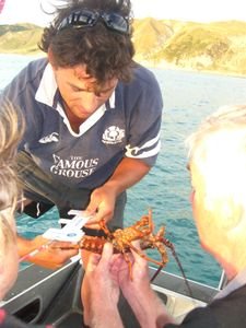 Measuring Crayfish