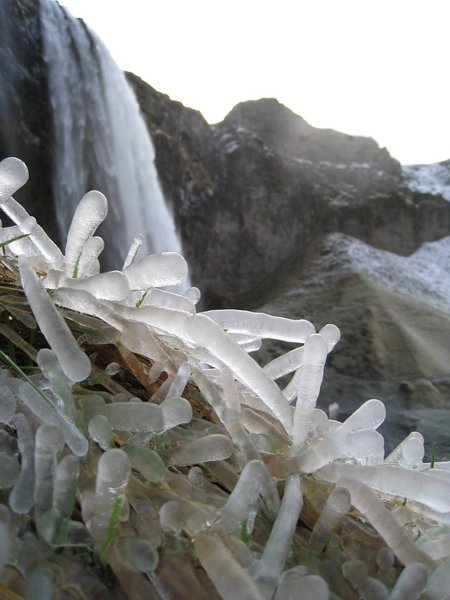Frozen stiff in the spray of a waterfall