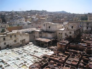 Leather tannery in Fez