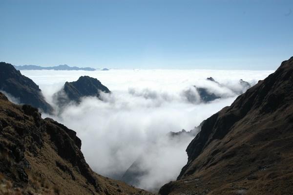 The Cloud Forest of Machu Picchu
