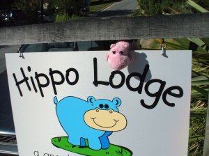 Hippo is finally happy!