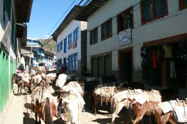 donkeys troop in Phaplu