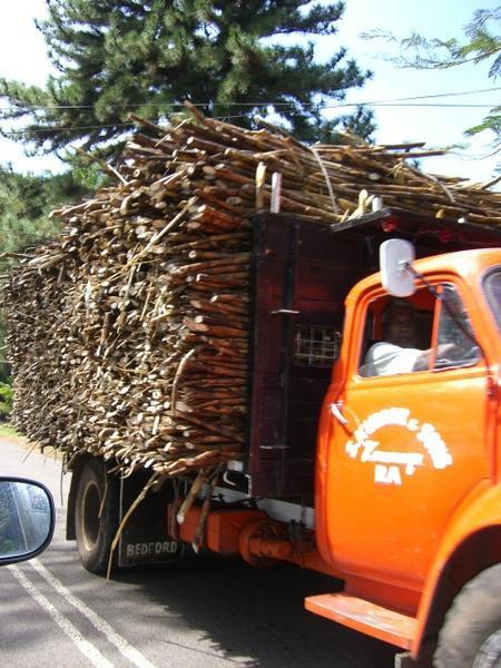 Sugar cane truck