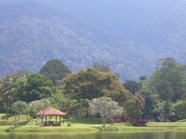 Taiping Lake Garden