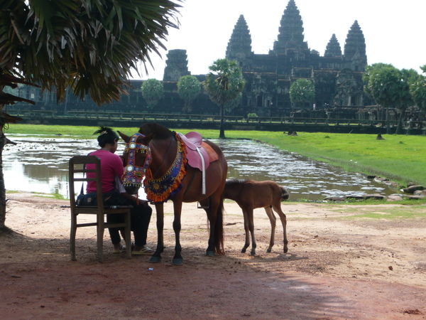Cambodia/Siem Reap