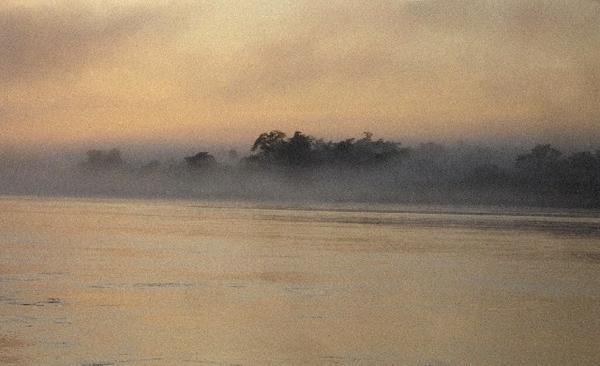 Mist at sunrise on the Madre de Dios river