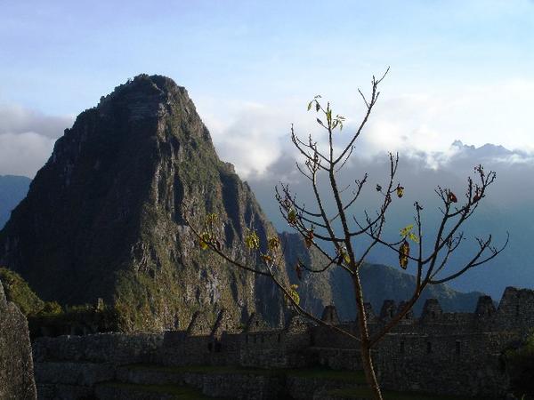 Machu Pichu looking towards Huayna Picchu mountain