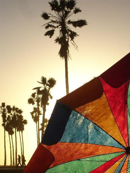 Umbrella at Venice Beach