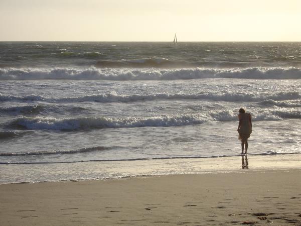 Woman paddling at Venice Beach 