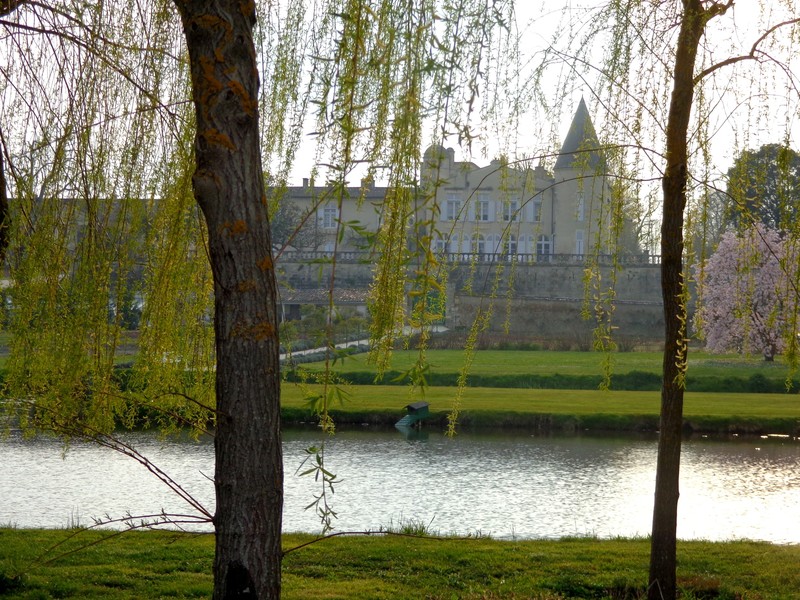 Chateau Lafite Rothschild vineyard