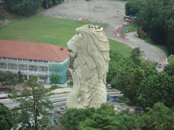 Merlion from the sky tower