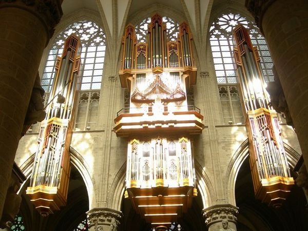 Beautiful Organ