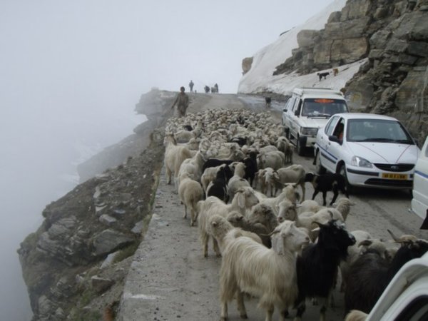 typical high mountain road in idia