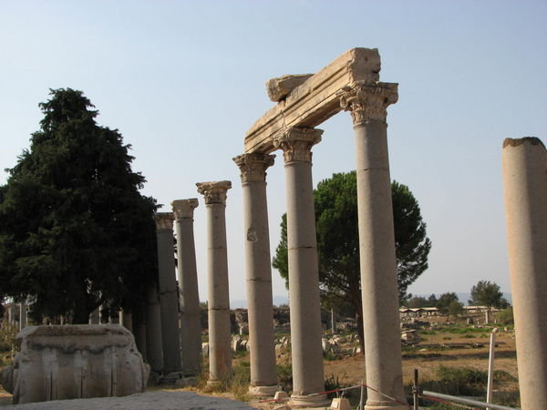 Some columns