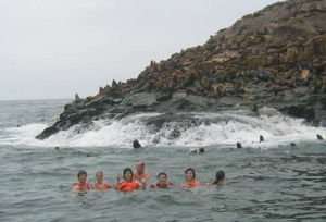 Quick Swim with the Lobos Del Mar
