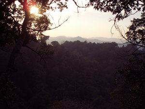 Sunset from Tree House 7