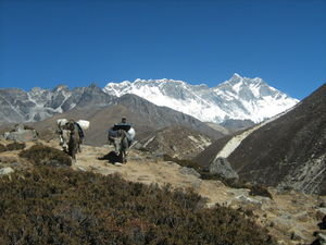 Dingboche