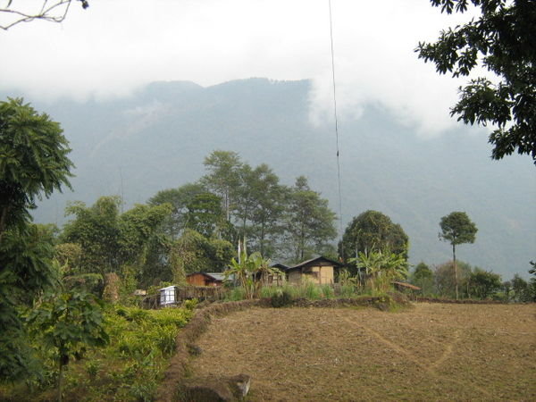 Trekking in Sikkim