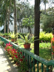  The Garden of Hotel Z, Puri