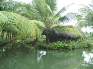 The Backwaters