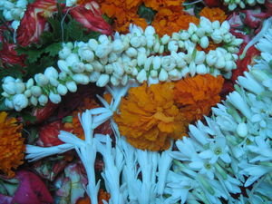 Flower & Spice Market