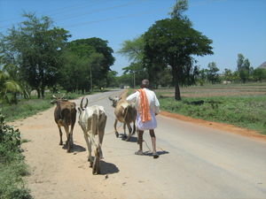 Rural Karnataka 