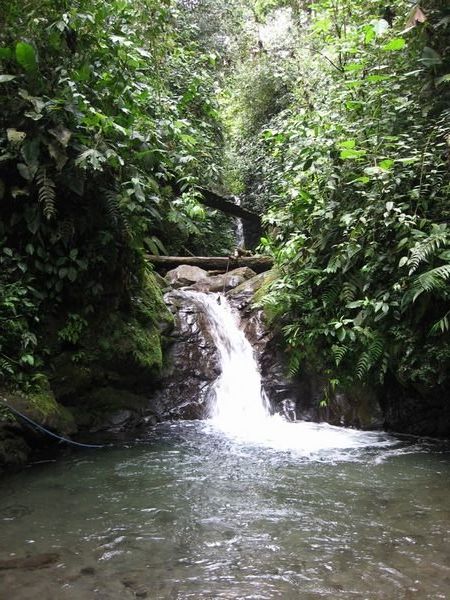 A waterfall in Mindo