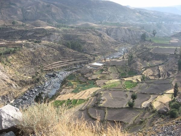 The Colca valley
