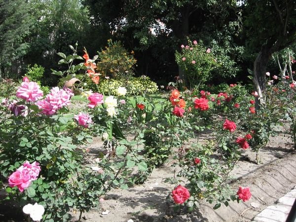 The garden in Santa Catalina convent