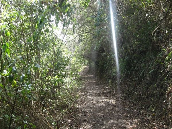 The trail to Choquequirau