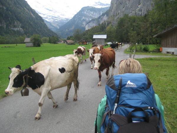 Swiss back roads