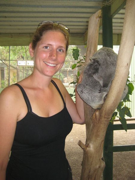 Koala at Featherdale Zoo