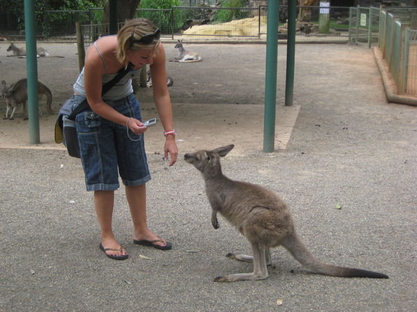 Claire and a kangaroo