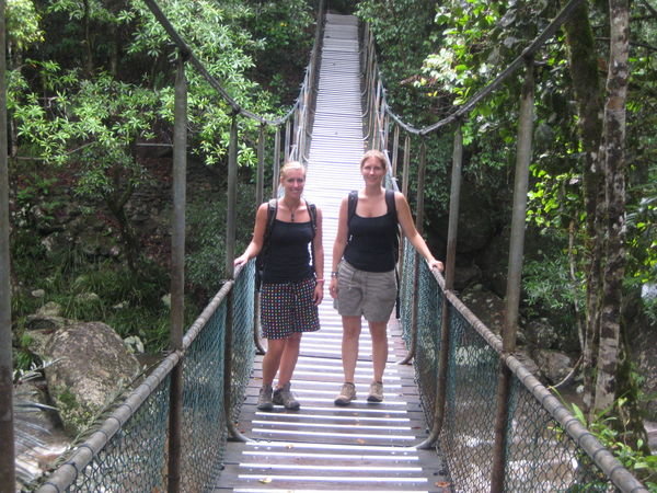 Crossing a wooden bridge in Cape Tribulation