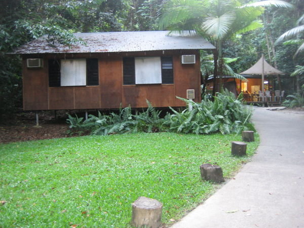 Lodge in the rainforest