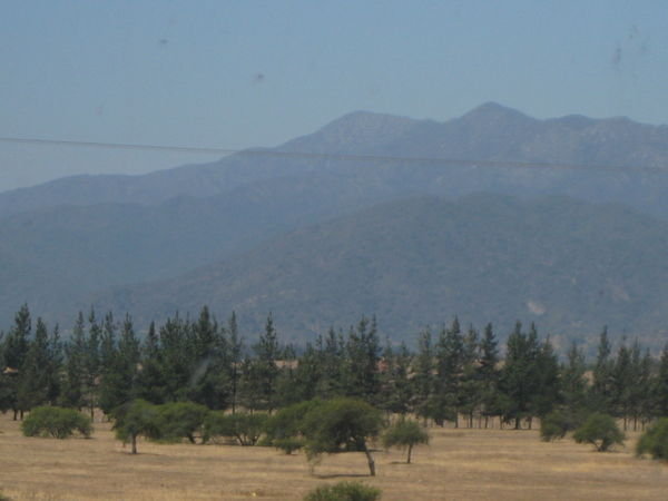 Chilean landscape