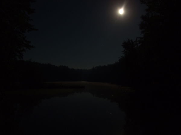 Burnet Island by Night
