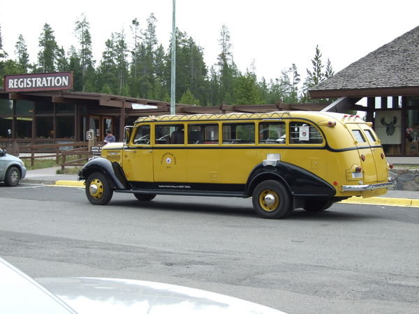 Old Bus?