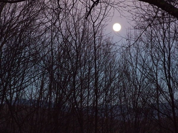 Moon Rises over New Hampshire