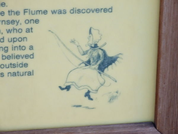 This is the 93 year old lady who discovered the Flume.